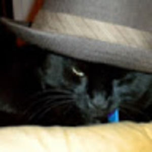 Meet your Posher, Monique